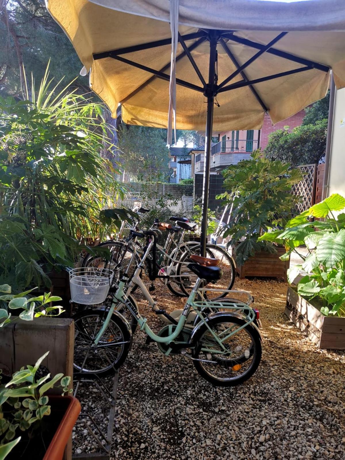 Hotel Casa Dorita - Free Breakfast Corner 8-12 à Cervia Extérieur photo